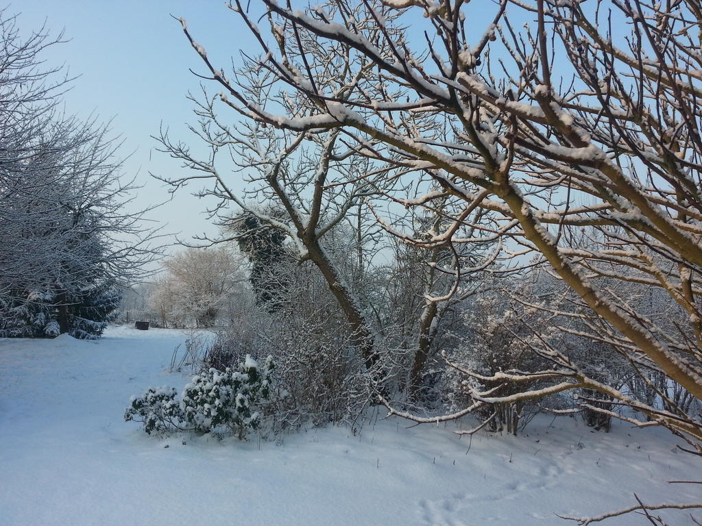 Bed and breakfast D'hotes Les Chatelains Ennordres